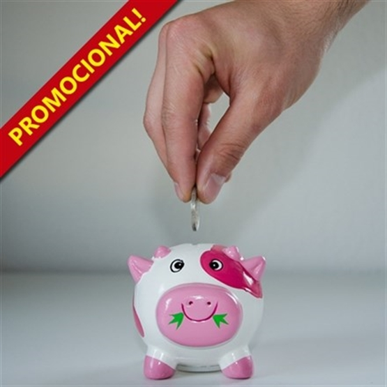 Gestão e Análise de Crédito Corporativo e Risco – Promocional - EAD ao Vivo