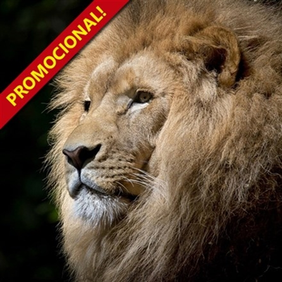 Reforma do Imposto de Renda  – Promocional – EAD Ao Vivo